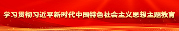 骚逼要毛多水多动作片学习贯彻习近平新时代中国特色社会主义思想主题教育